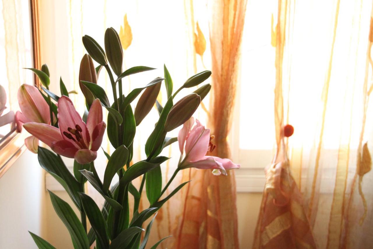 מוגליאנו ונטו Residence Al Bacareto מראה חיצוני תמונה